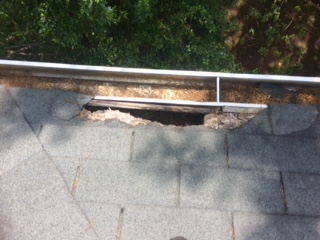 Wildlife Inspection Services