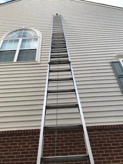 Birds In Vents Bird Removal Pest Control