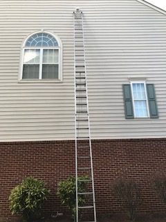 Nuisance Wildlife Inspection Birds in Vents