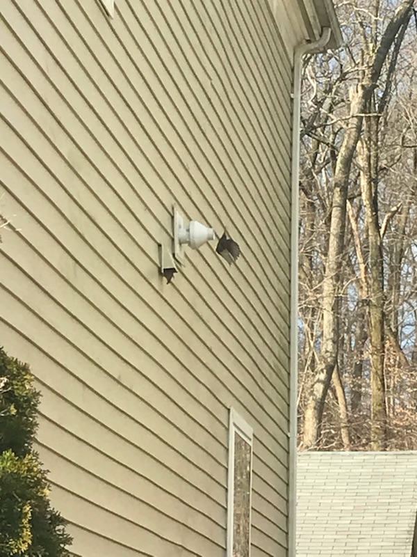 Birds in Vents Bird Vent Removal Jesse James Critter Gitters