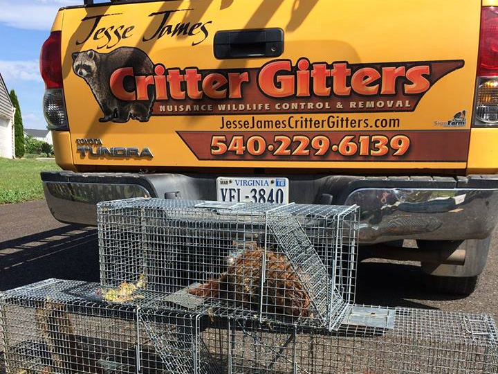 Jesse James Critter Gitters Truck and Trapping